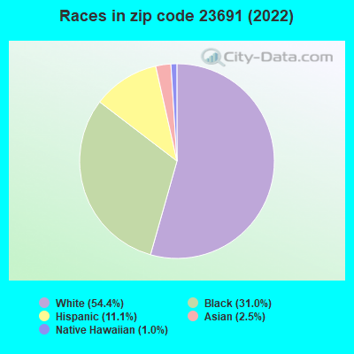 Races in zip code 23691 (2022)