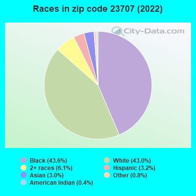 Races in zip code 23707 (2022)