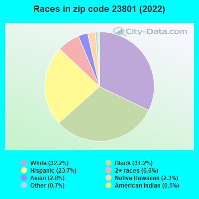 Races in zip code 23801 (2022)