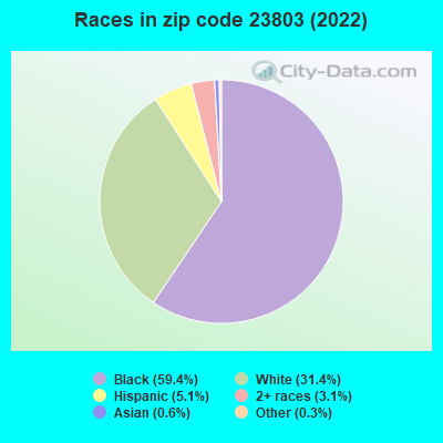 Races in zip code 23803 (2022)