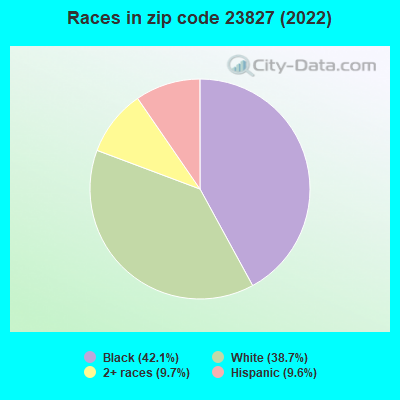 Races in zip code 23827 (2022)