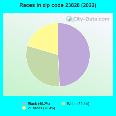 Races in zip code 23828 (2022)