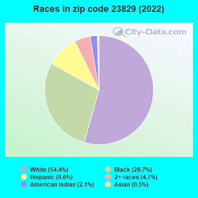 Races in zip code 23829 (2022)