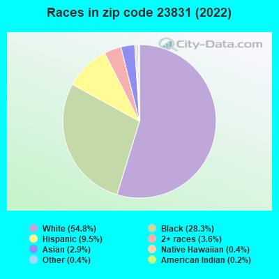 Races in zip code 23831 (2022)