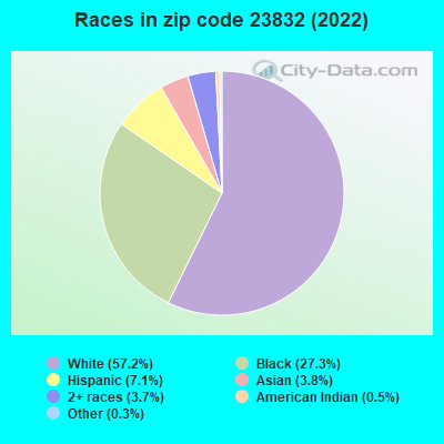 Races in zip code 23832 (2022)