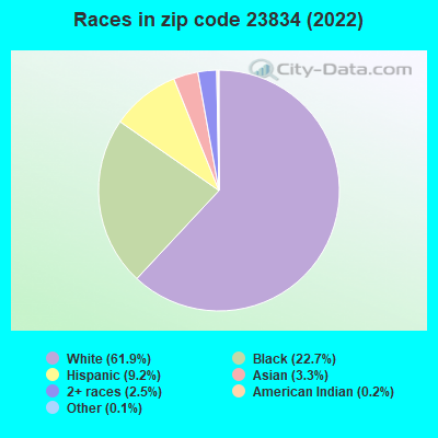 Races in zip code 23834 (2022)