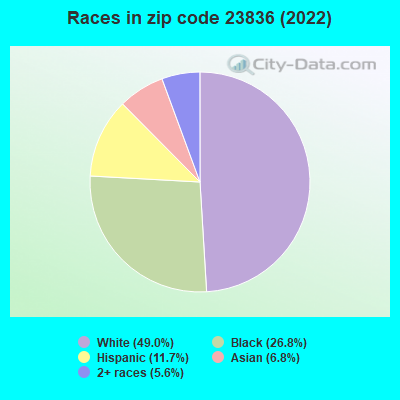 Races in zip code 23836 (2022)