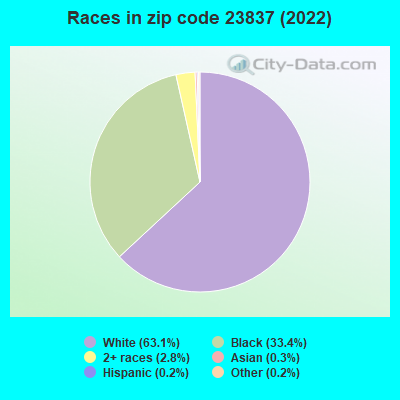 Races in zip code 23837 (2022)