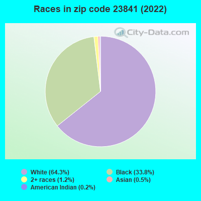 Races in zip code 23841 (2022)