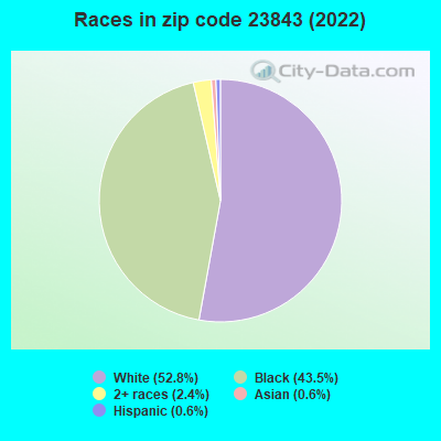 Races in zip code 23843 (2022)