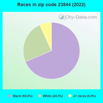 Races in zip code 23844 (2022)