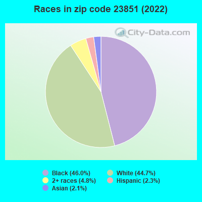 Races in zip code 23851 (2022)