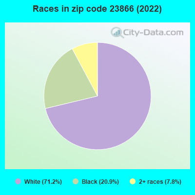 Races in zip code 23866 (2022)