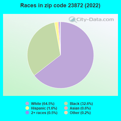 Races in zip code 23872 (2022)