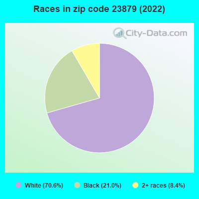 Races in zip code 23879 (2022)