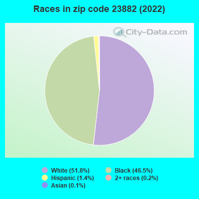 Races in zip code 23882 (2022)