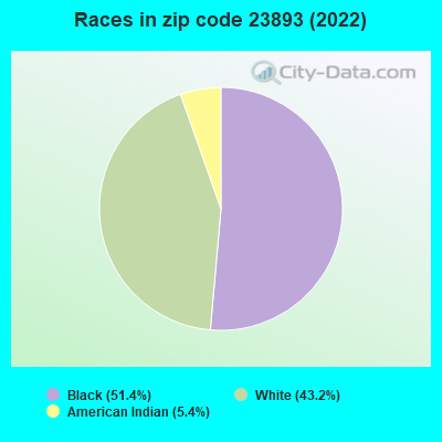 Races in zip code 23893 (2022)