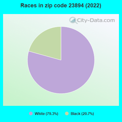 Races in zip code 23894 (2022)