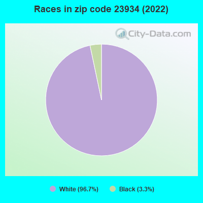 Races in zip code 23934 (2022)