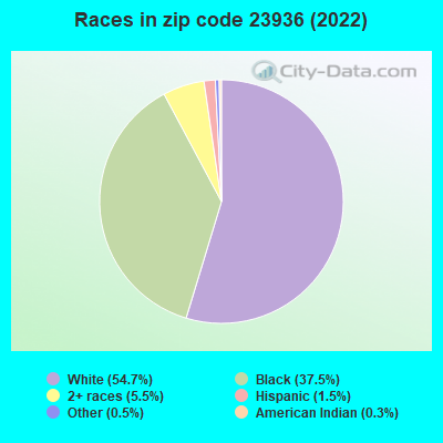 Races in zip code 23936 (2022)