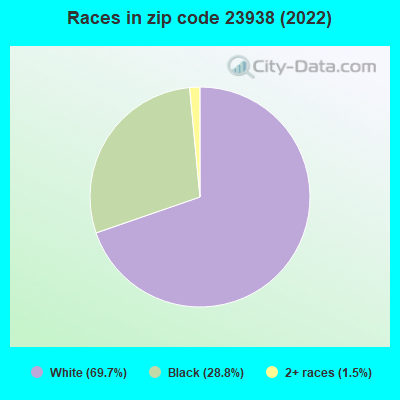 Races in zip code 23938 (2022)