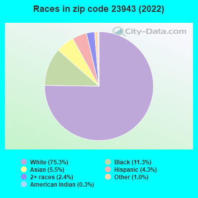 Races in zip code 23943 (2022)