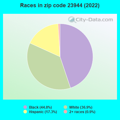 Races in zip code 23944 (2022)