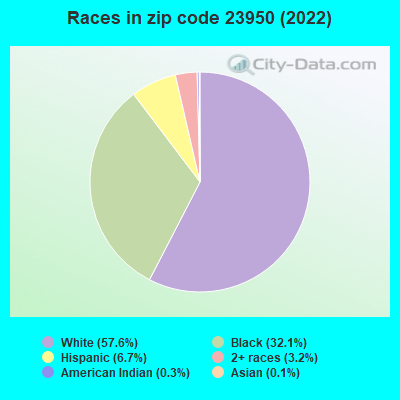 Races in zip code 23950 (2022)