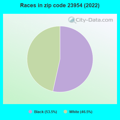 Races in zip code 23954 (2022)