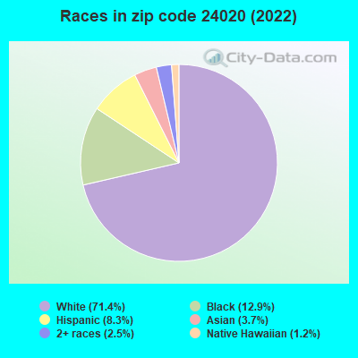 Races in zip code 24020 (2022)