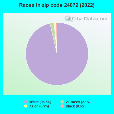 Races in zip code 24072 (2022)