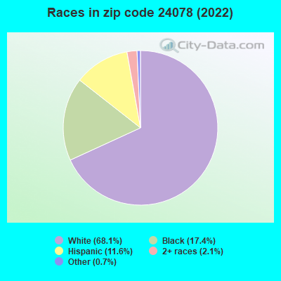 Races in zip code 24078 (2022)