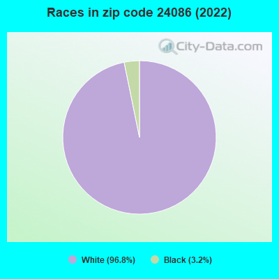 Races in zip code 24086 (2022)