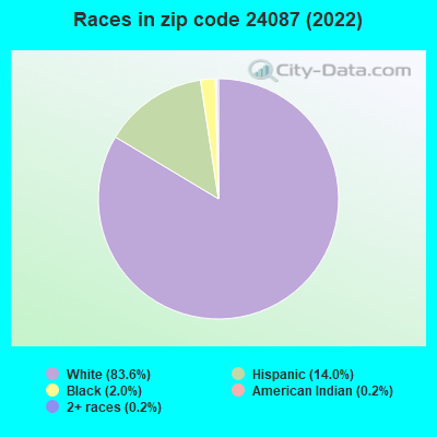 Races in zip code 24087 (2022)