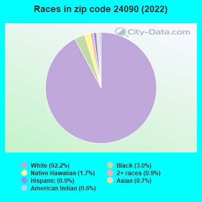 Races in zip code 24090 (2022)