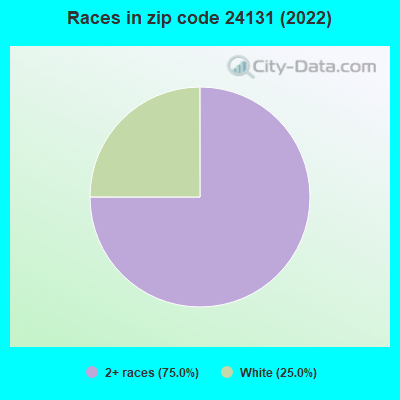 Races in zip code 24131 (2022)