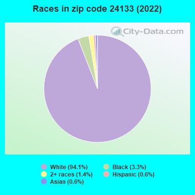 Races in zip code 24133 (2022)