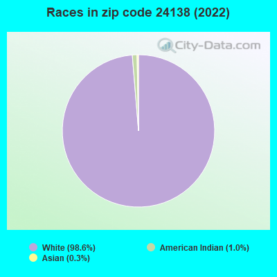 Races in zip code 24138 (2022)