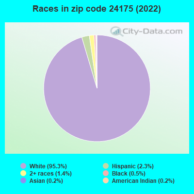 Races in zip code 24175 (2022)