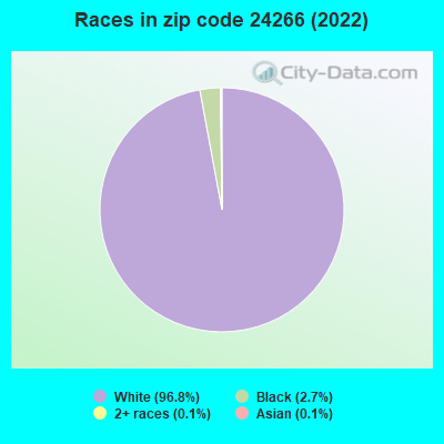 Races in zip code 24266 (2022)