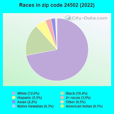 Races in zip code 24502 (2022)