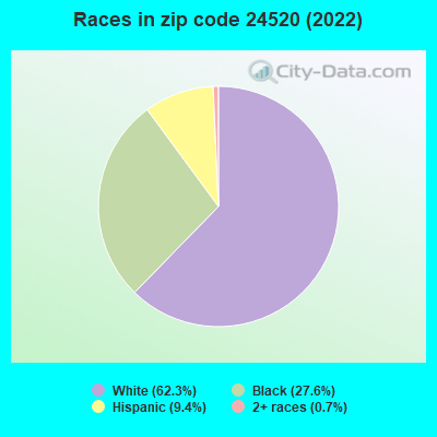 Races in zip code 24520 (2022)