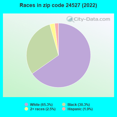 Races in zip code 24527 (2022)