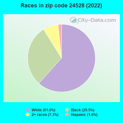 Races in zip code 24528 (2022)