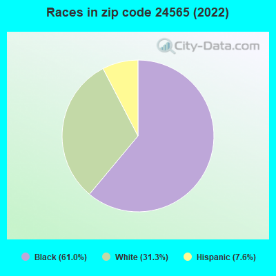 Races in zip code 24565 (2022)