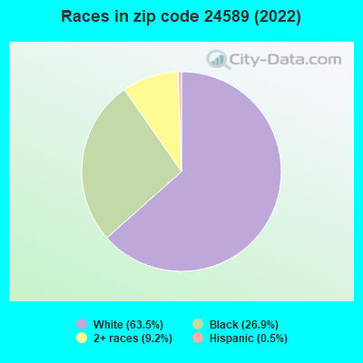 Races in zip code 24589 (2022)