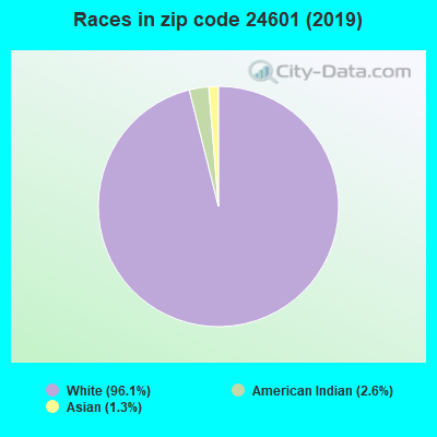 Races in zip code 24601 (2019)