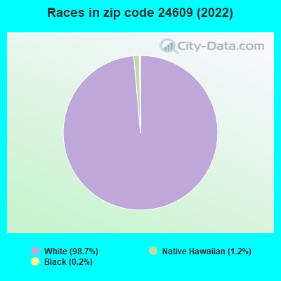 Races in zip code 24609 (2022)