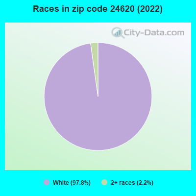 Races in zip code 24620 (2022)