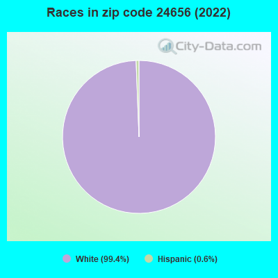 Races in zip code 24656 (2022)